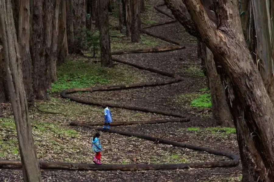 Dos niños caminan por un sendero sinuoso en el Presidio de San Francisco.